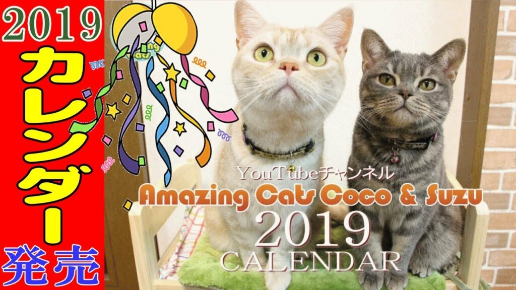 【猫のカレンダー2019】ついにアメキャッツカレンダーが発売開始!子猫から現在までの厳選素材を使って制作しました!