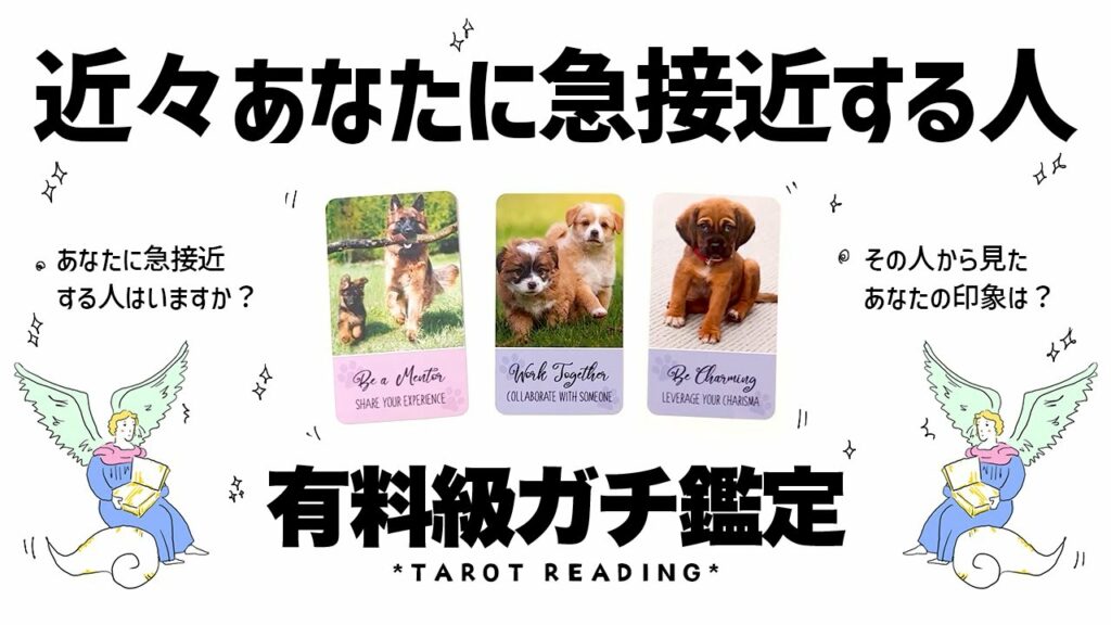 【タロット占い】近々あなたに急接近する人を全力ガチ鑑定🦄✨✨お相手の外見・内面・お相手は何人?・急接近するきっかけ・お相手から見たあなたの印象など詳細リーディング🍀✨✨【3択占い】